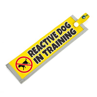 Reactive Dog In Training