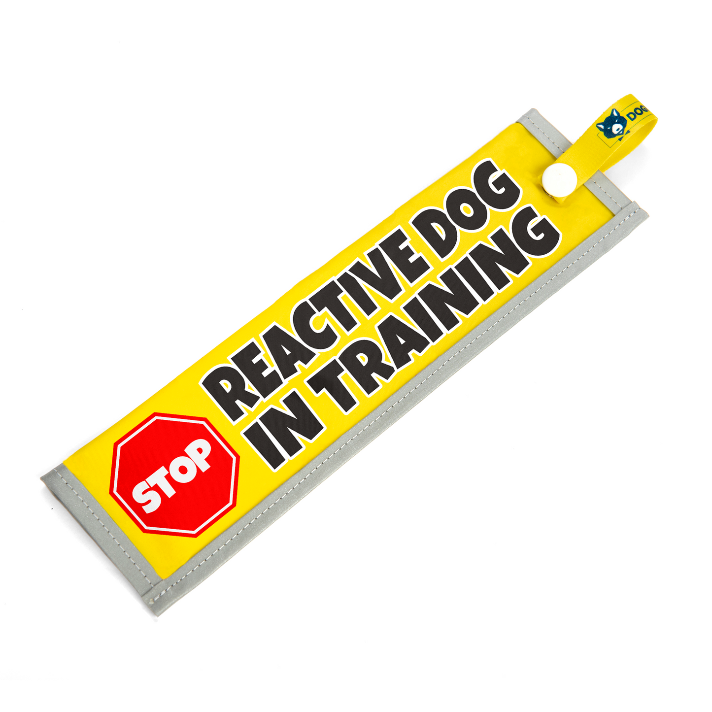 Reactive Dog In Training