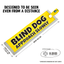 Blind Dog - Approach Slowly
