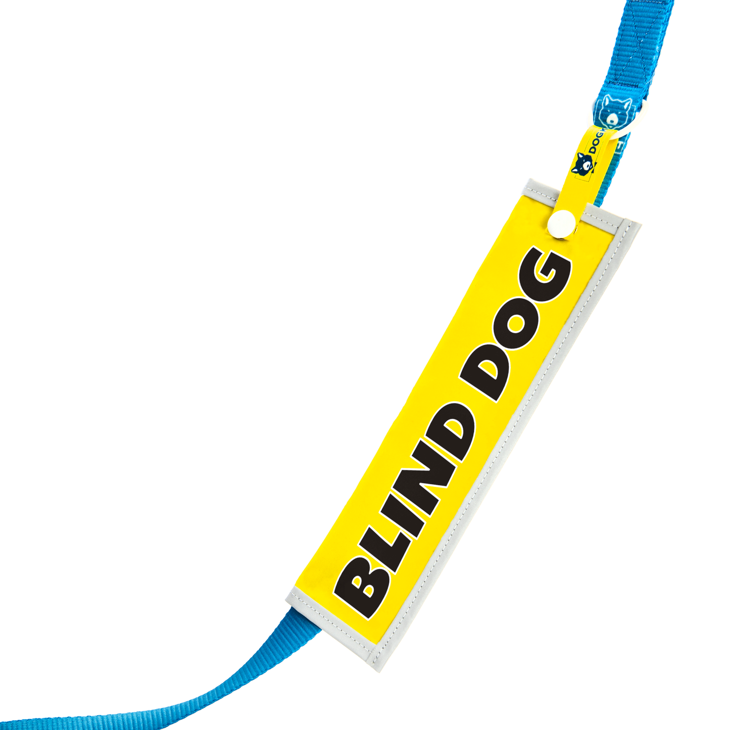 Blind Dog