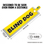Blind Dog